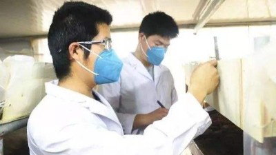負載對恒溫恒濕試驗箱的溫濕度性能有哪些影響？